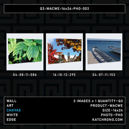 Q3-WACWE-16x24-PHO-003