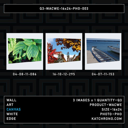 Q3-WACWE-16x24-PHO-003