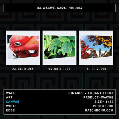 Q3-WACWE-16x24-PHO-004