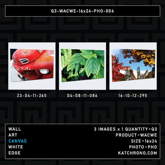 Q3-WACWE-16x24-PHO-004