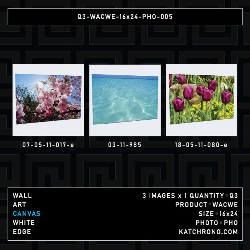 Q3-WACWE-16x24-PHO-005