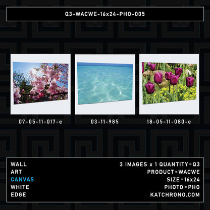 Q3-WACWE-16x24-PHO-005