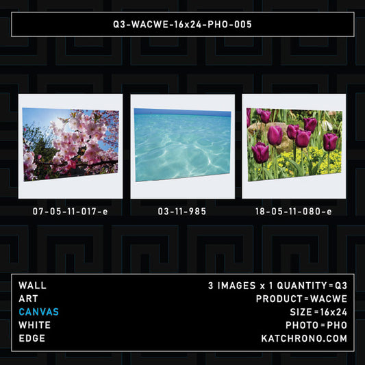 Q3-WACWE-16x24-PHO-005