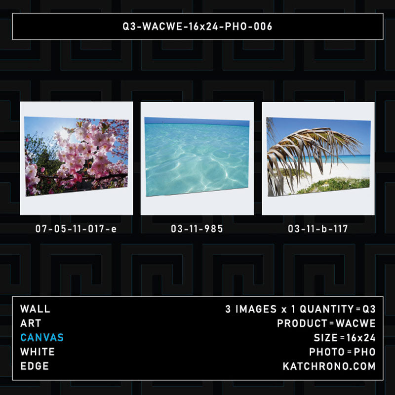 Q3-WACWE-16x24-PHO-006