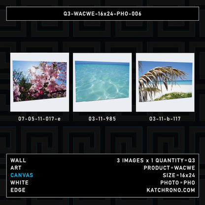 Q3-WACWE-16x24-PHO-006