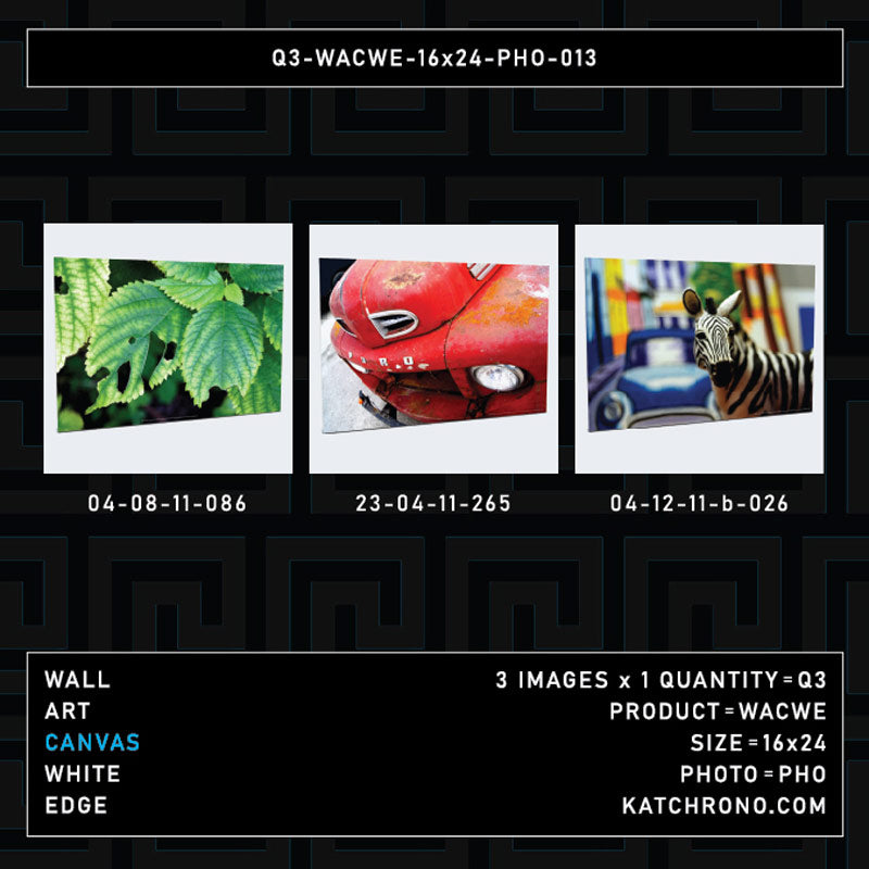 Q3-WACWE-16x24-PHO-013