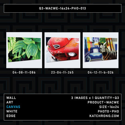 Q3-WACWE-16x24-PHO-013