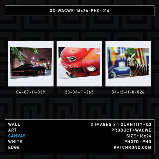 Q3-WACWE-16x24-PHO-014