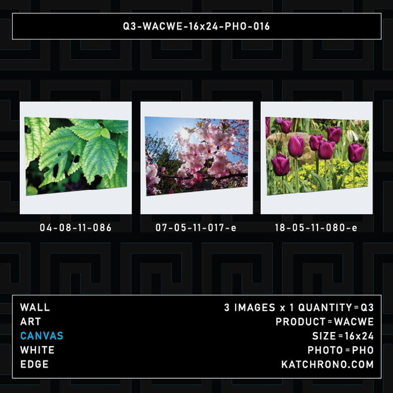 Q3-WACWE-16x24-PHO-016