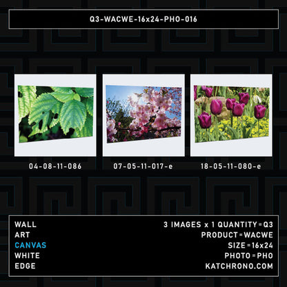 Q3-WACWE-16x24-PHO-016