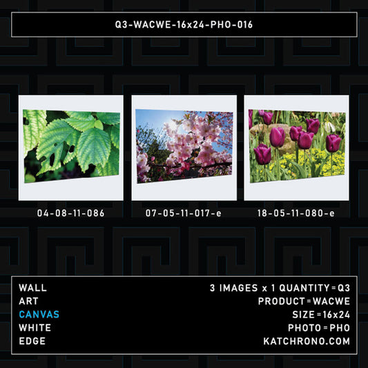 Q3-WACWE-16x24-PHO-016
