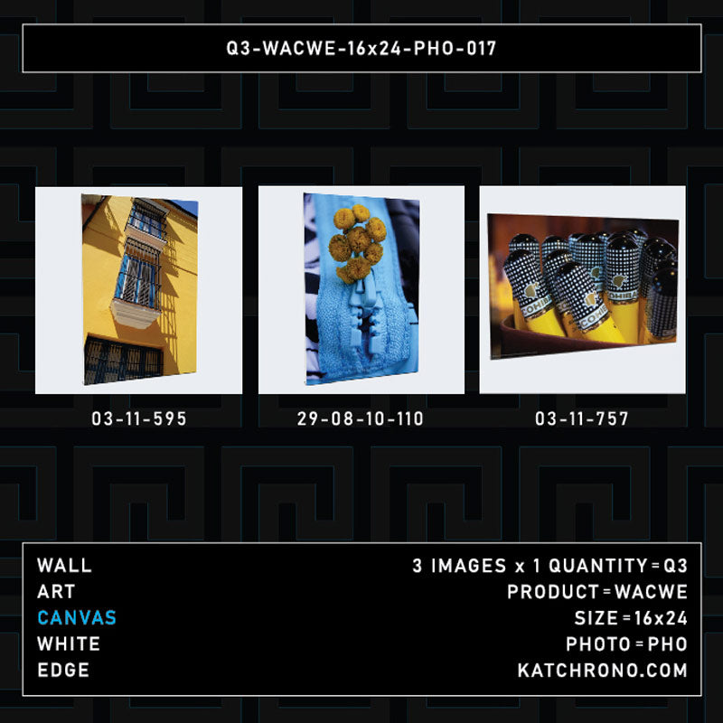 Q3-WACWE-16x24-PHO-017