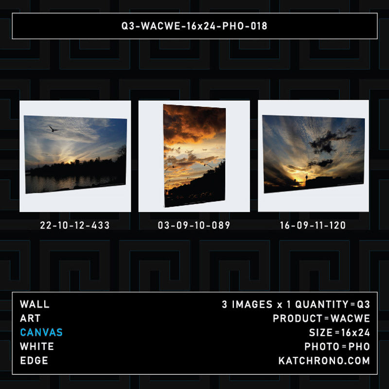 Q3-WACWE-16x24-PHO-018