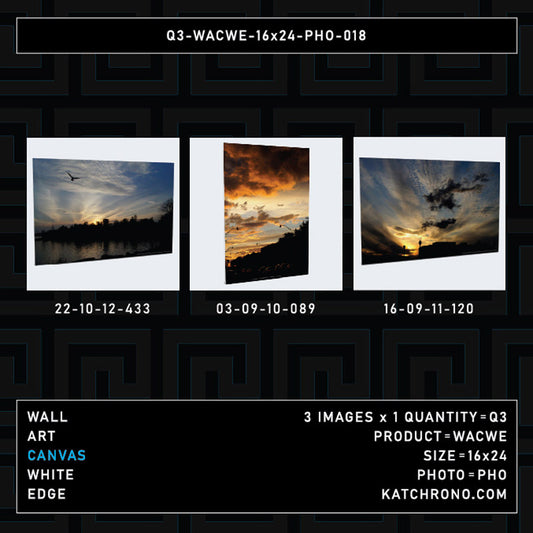 Q3-WACWE-16x24-PHO-018
