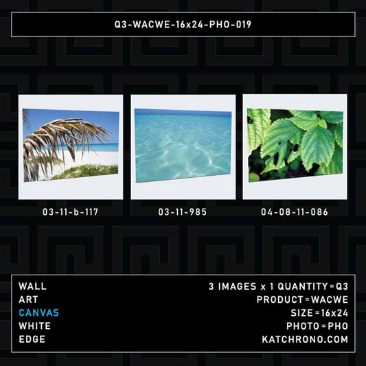 Q3-WACWE-16x24-PHO-019