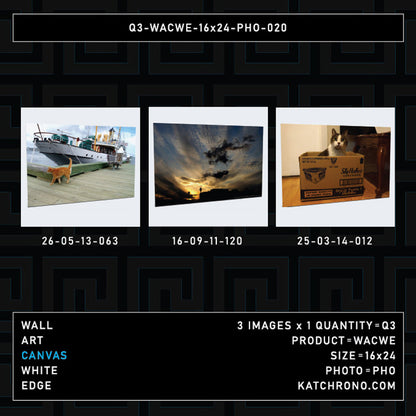 Q3-WACWE-16x24-PHO-020