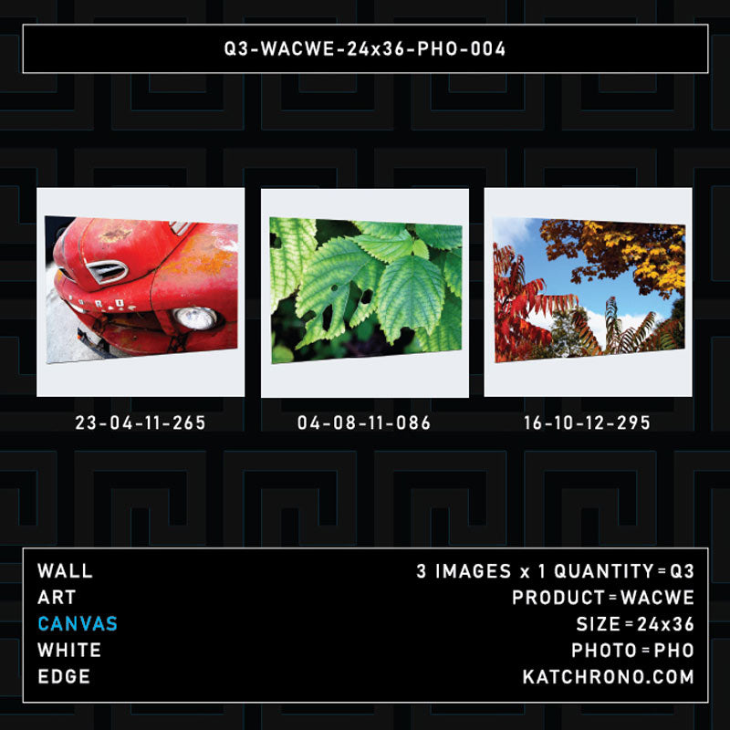 Q3-WACWE-24x36-PHO-004