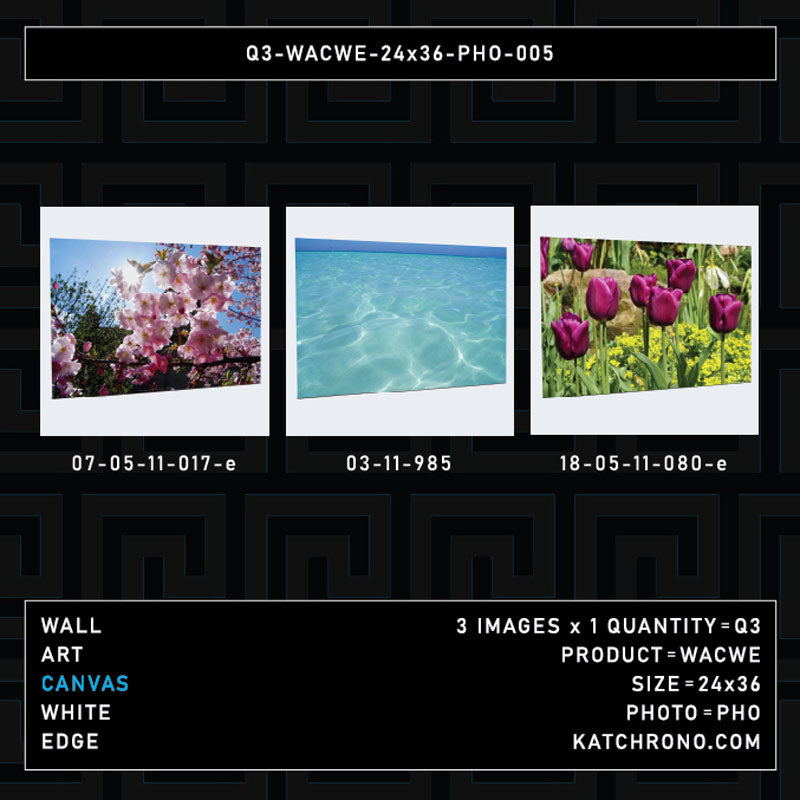 Q3-WACWE-24x36-PHO-005