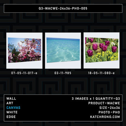 Q3-WACWE-24x36-PHO-005