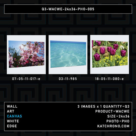 Q3-WACWE-24x36-PHO-005