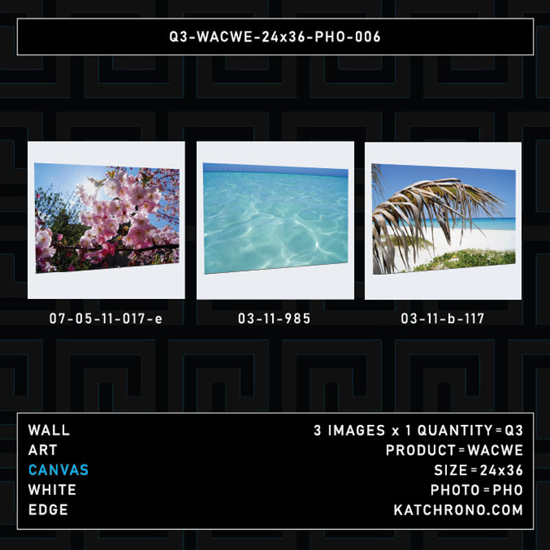 Q3-WACWE-24x36-PHO-006