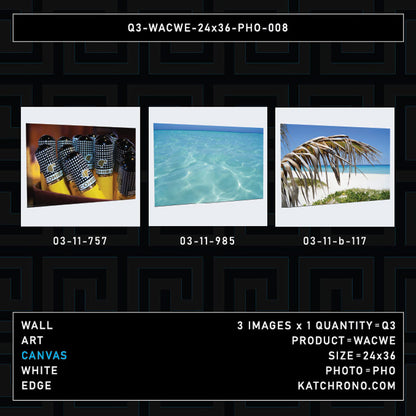 Q3-WACWE-24x36-PHO-008