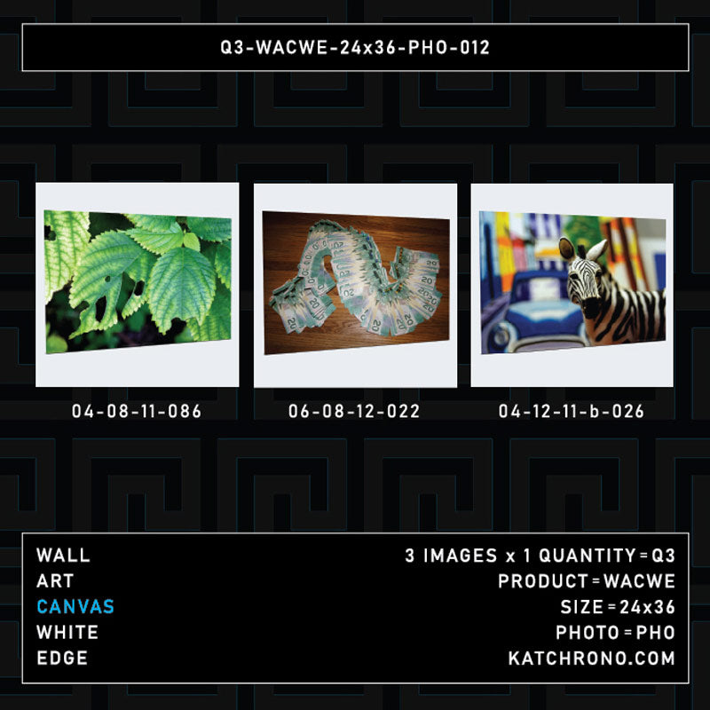 Q3-WACWE-24x36-PHO-012