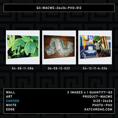 Q3-WACWE-24x36-PHO-012