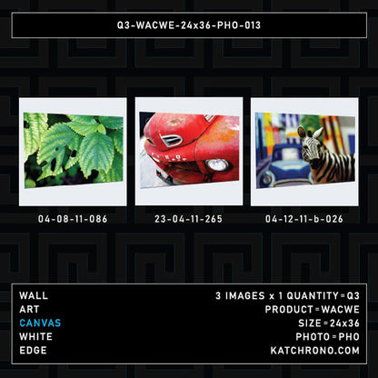 Q3-WACWE-24x36-PHO-013