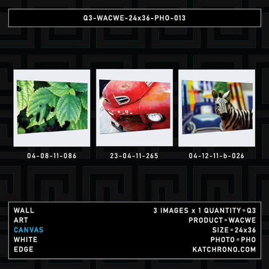 Q3-WACWE-24x36-PHO-013