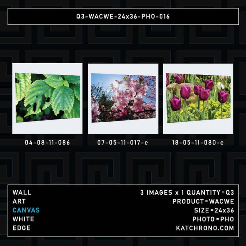 Q3-WACWE-24x36-PHO-016