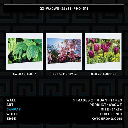 Q3-WACWE-24x36-PHO-016