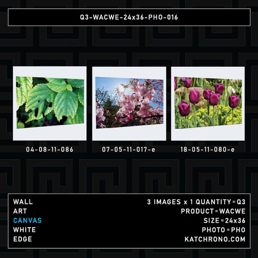 Q3-WACWE-24x36-PHO-016