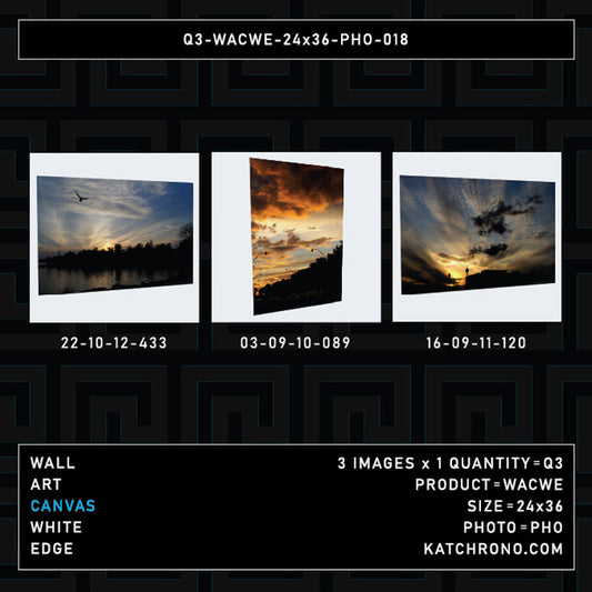 Q3-WACWE-24x36-PHO-018