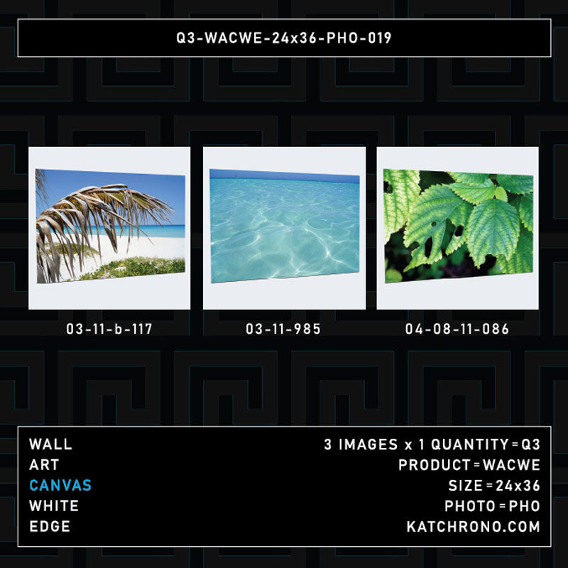 Q3-WACWE-24x36-PHO-019