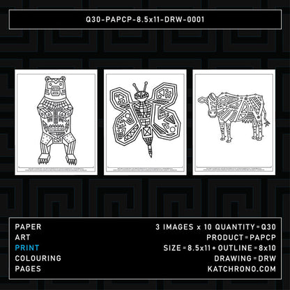 Q30-PAPCP-8.5x11-DRW-0001