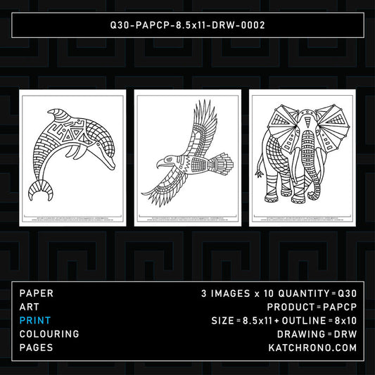 Q30-PAPCP-8.5x11-DRW-0002