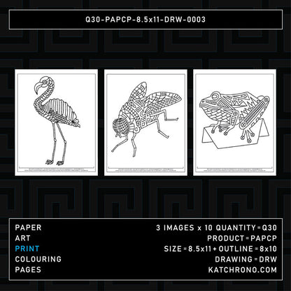 Q30-PAPCP-8.5x11-DRW-0003