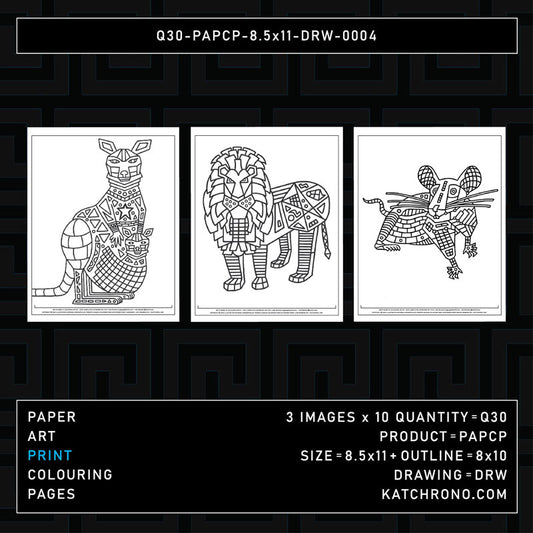 Q30-PAPCP-8.5x11-DRW-0004