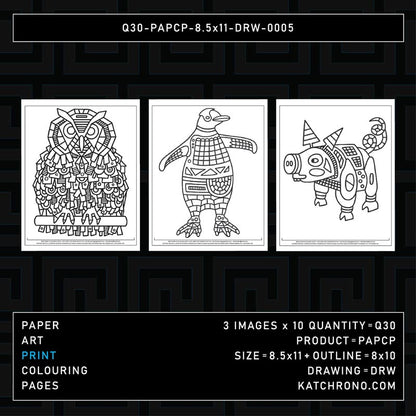 Q30-PAPCP-8.5x11-DRW-0005