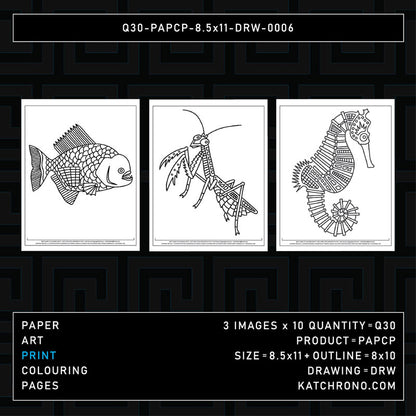 Q30-PAPCP-8.5x11-DRW-0006