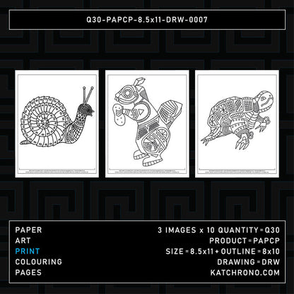 Q30-PAPCP-8.5x11-DRW-0007