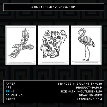 Q30-PAPCP-8.5x11-DRW-0009