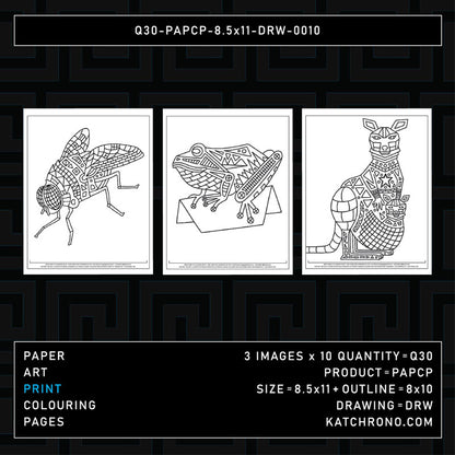 Q30-PAPCP-8.5x11-DRW-0010