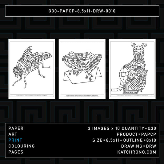 Q30-PAPCP-8.5x11-DRW-0010