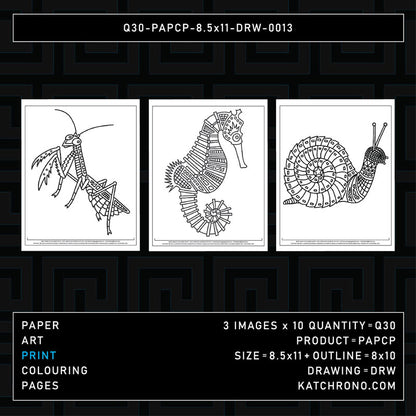 Q30-PAPCP-8.5x11-DRW-0013
