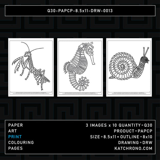 Q30-PAPCP-8.5x11-DRW-0013