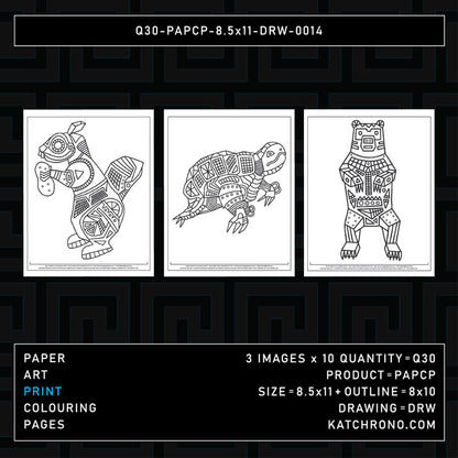 Q30-PAPCP-8.5x11-DRW-0014