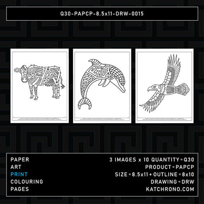 Q30-PAPCP-8.5x11-DRW-0015