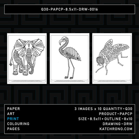 Q30-PAPCP-8.5x11-DRW-0016